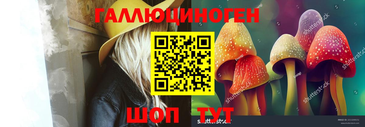 Псилоцибиновые грибы Psilocybe Амурск